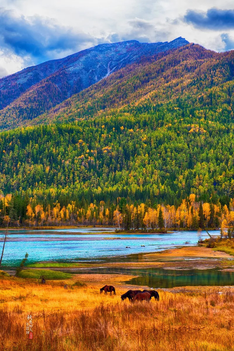 新疆大地的瑰宝，文化与自然的交响乐章