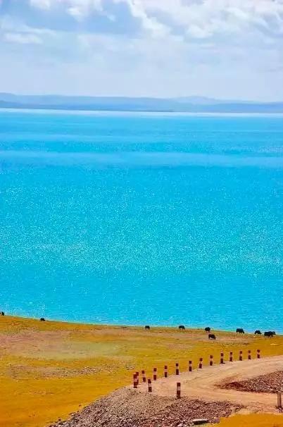 探索青海之美——青海行记