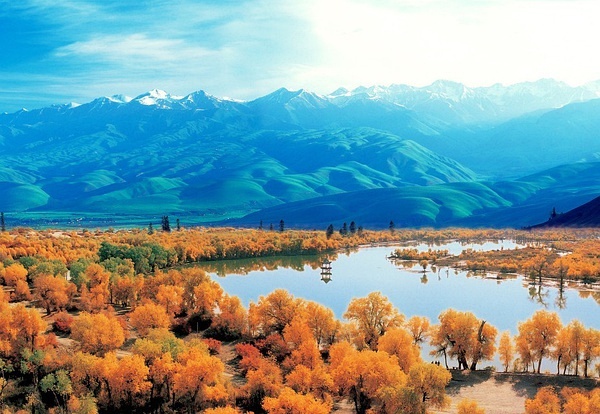 迷失新疆巷弄，邂逅风味小店