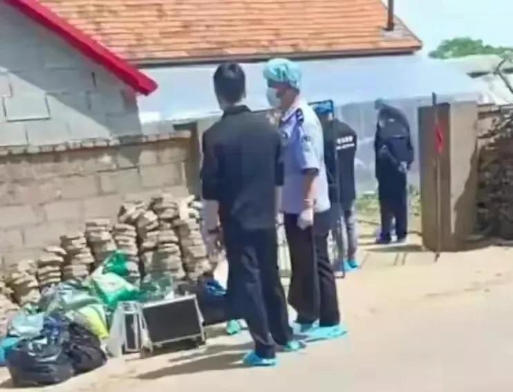 丹东,历史底蕴与现代风采的交融之城